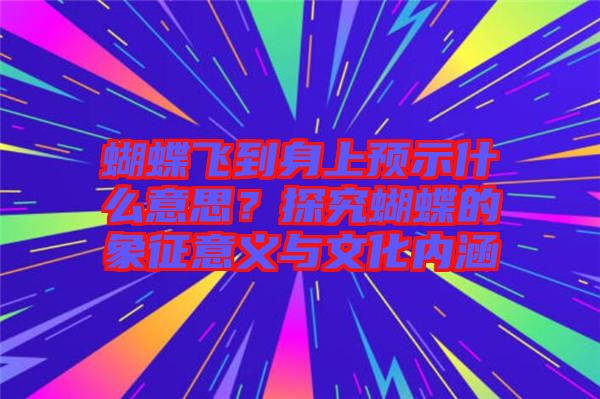 蝴蝶飛到身上預(yù)示什么意思？探究蝴蝶的象征意義與文化內(nèi)涵