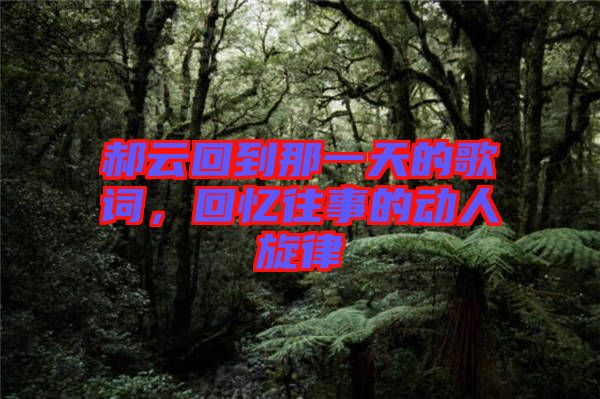 郝云回到那一天的歌詞，回憶往事的動人旋律