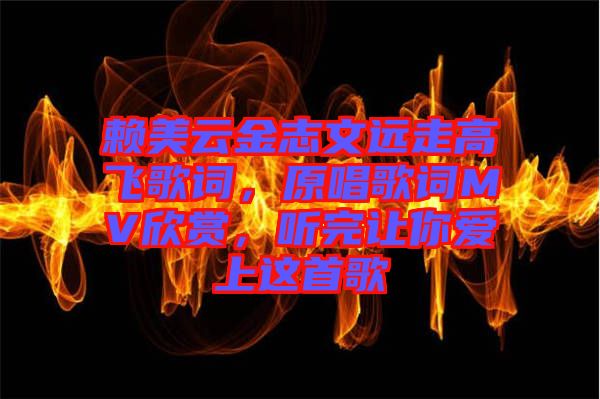 賴美云金志文遠(yuǎn)走高飛歌詞，原唱歌詞MV欣賞，聽完讓你愛上這首歌