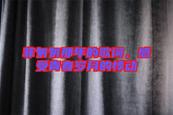 菲匆匆那年的歌詞，感受青春歲月的悸動(dòng)