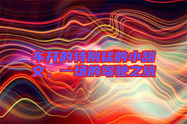 車(chē)開(kāi)的特別猛的小甜文，一場(chǎng)的駕駛之旅