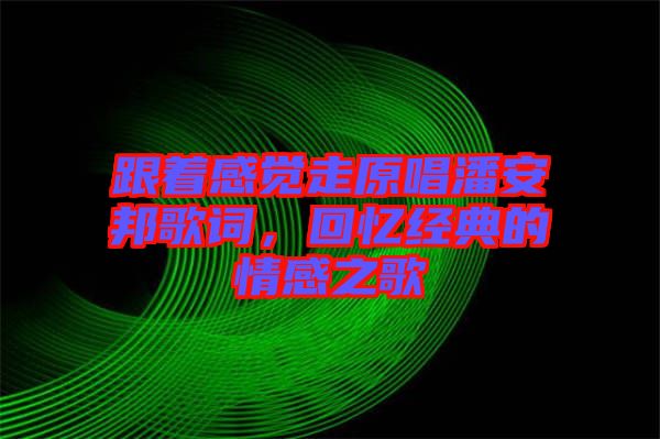 跟著感覺走原唱潘安邦歌詞，回憶經(jīng)典的情感之歌