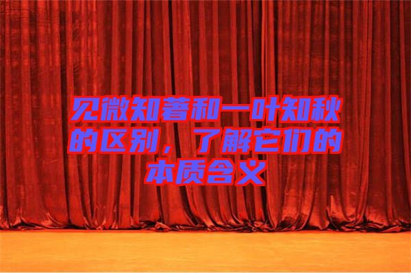 見微知著和一葉知秋的區(qū)別，了解它們的本質(zhì)含義