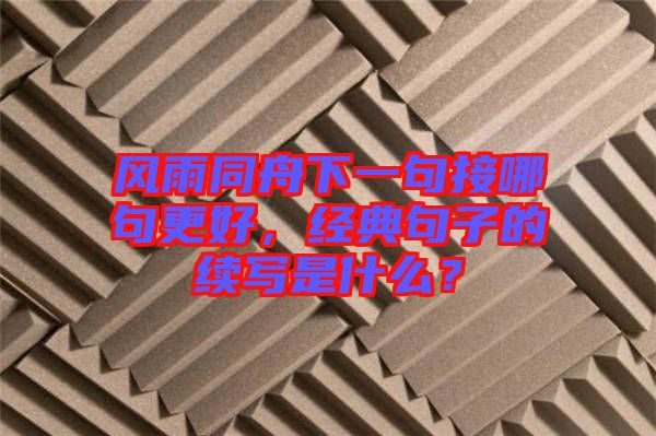 風(fēng)雨同舟下一句接哪句更好，經(jīng)典句子的續(xù)寫是什么？