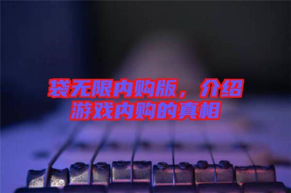 袋無限內(nèi)購版，介紹游戲內(nèi)購的真相