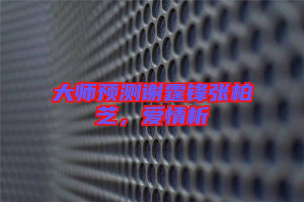 大師預(yù)測謝霆鋒張柏芝，愛情析