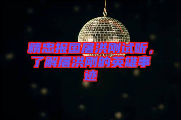 精忠報(bào)國屠洪剛試聽，了解屠洪剛的英雄事跡