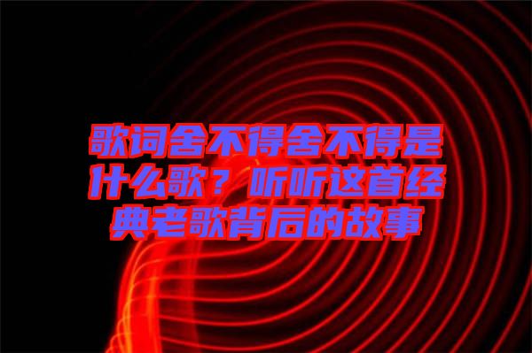 歌詞舍不得舍不得是什么歌？聽聽這首經(jīng)典老歌背后的故事