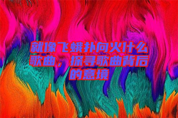 就像飛蛾撲向火什么歌曲，探尋歌曲背后的意境