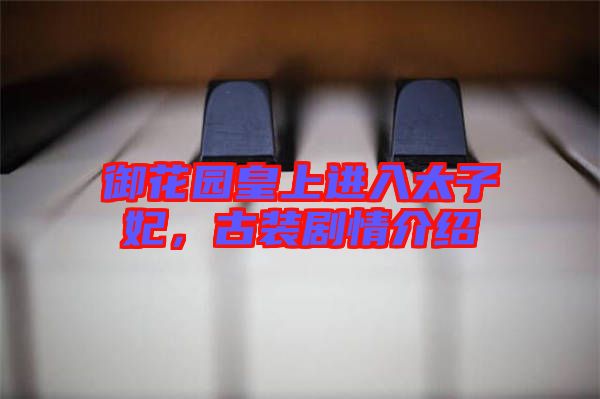 御花園皇上進入太子妃，古裝劇情介紹