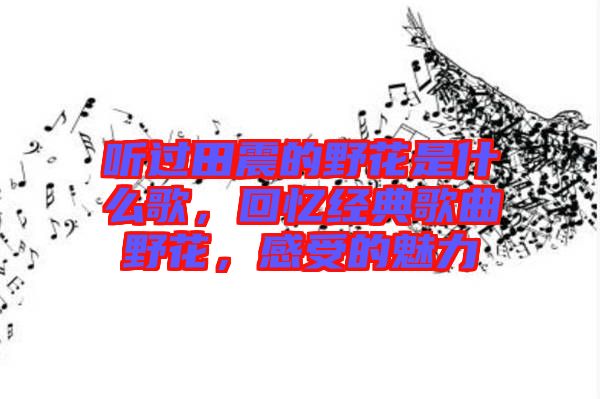 聽過田震的野花是什么歌，回憶經(jīng)典歌曲野花，感受的魅力