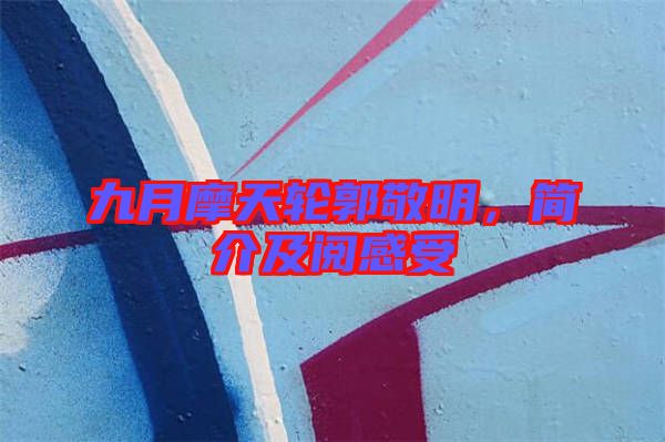 九月摩天輪郭敬明，簡介及閱感受