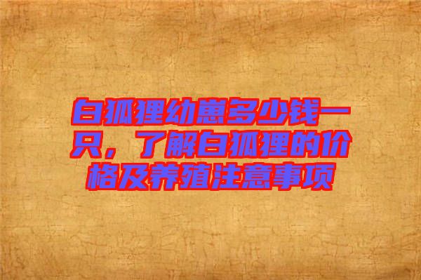 白狐貍幼崽多少錢(qián)一只，了解白狐貍的價(jià)格及養(yǎng)殖注意事項(xiàng)