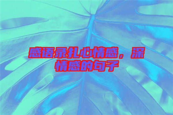 感語錄扎心情感，深情感的句子