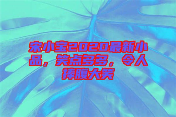 宋小寶2020最新小品，笑點(diǎn)多多，令人捧腹大笑