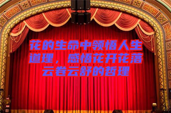 花的生命中領(lǐng)悟人生道理，感悟花開(kāi)花落云卷云舒的哲理