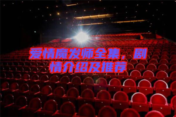 愛情魔發(fā)師全集，劇情介紹及推薦
