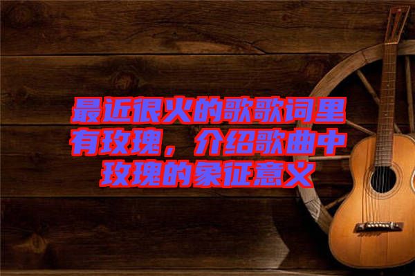 最近很火的歌歌詞里有玫瑰，介紹歌曲中玫瑰的象征意義