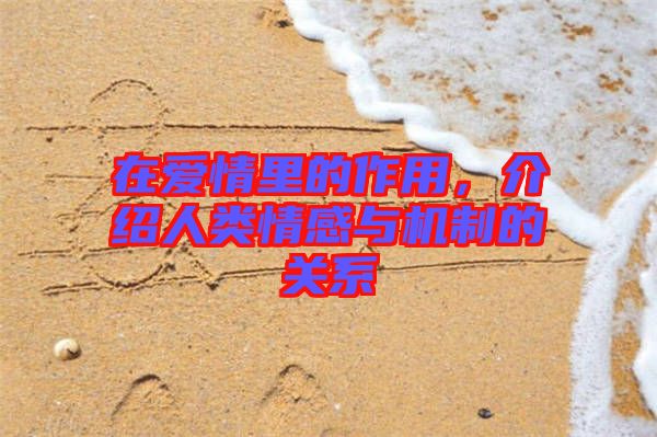在愛(ài)情里的作用，介紹人類情感與機(jī)制的關(guān)系