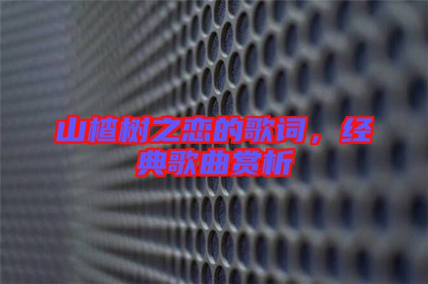 山楂樹(shù)之戀的歌詞，經(jīng)典歌曲賞析
