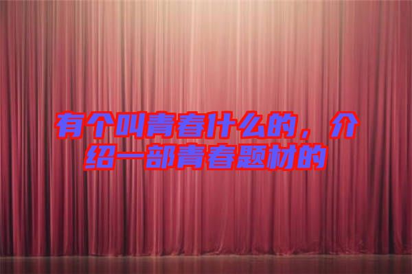有個叫青春什么的，介紹一部青春題材的