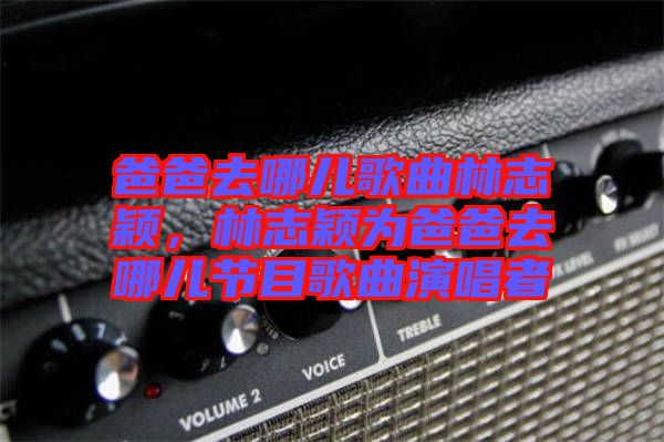 爸爸去哪兒歌曲林志穎，林志穎為爸爸去哪兒節(jié)目歌曲演唱者