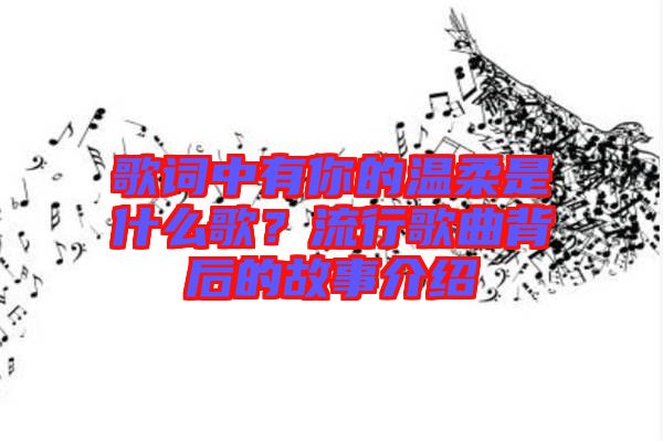 歌詞中有你的溫柔是什么歌？流行歌曲背后的故事介紹