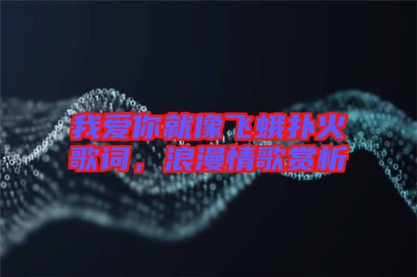 我愛你就像飛蛾撲火歌詞，浪漫情歌賞析