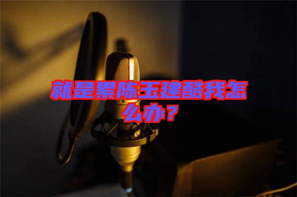 就是累陳玉建酷我怎么辦？