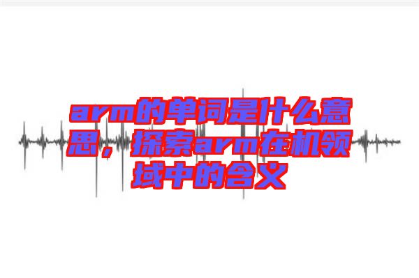 arm的單詞是什么意思，探索arm在機領域中的含義