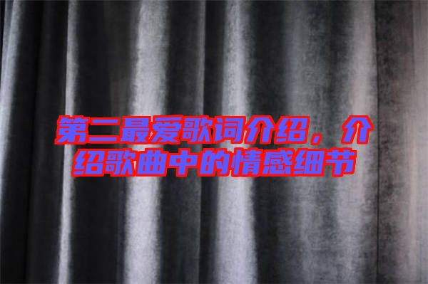 第二最愛(ài)歌詞介紹，介紹歌曲中的情感細(xì)節(jié)