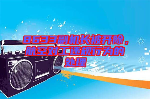 8633副機(jī)長被開除，航空對工違規(guī)行為的處理