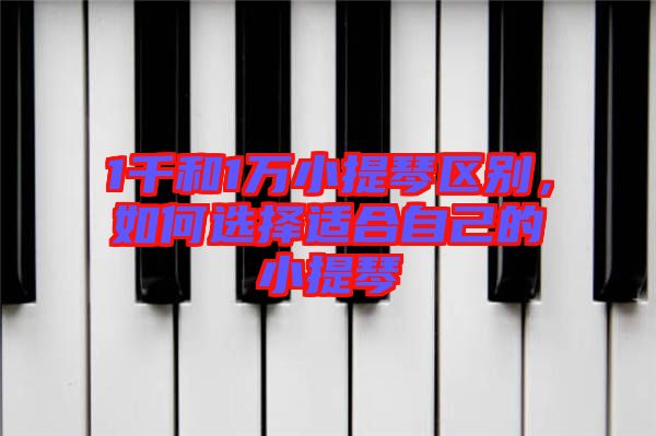 1千和1萬小提琴區(qū)別，如何選擇適合自己的小提琴
