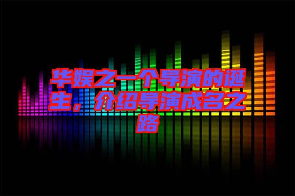 華娛之一個(gè)導(dǎo)演的誕生，介紹導(dǎo)演成名之路