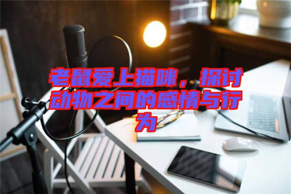 老鼠愛(ài)上貓咪，探討動(dòng)物之間的感情與行為