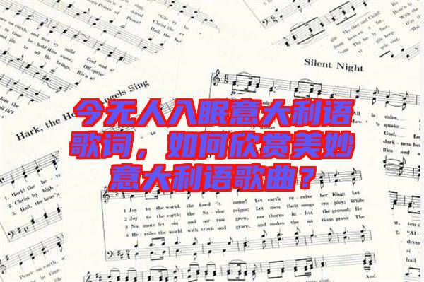 今無人入眠意大利語歌詞，如何欣賞美妙意大利語歌曲？