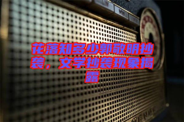 花落知多少郭敬明抄襲，文學(xué)抄襲現(xiàn)象揭露