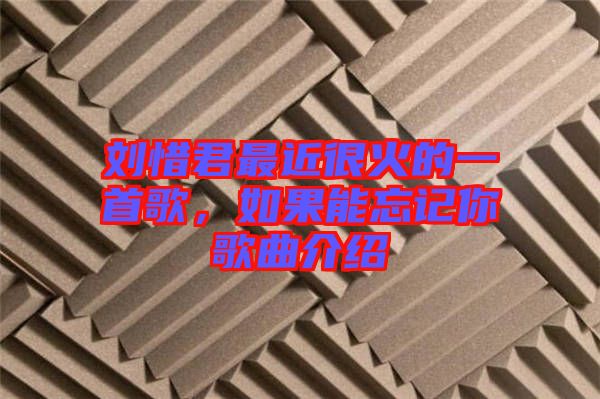 劉惜君最近很火的一首歌，如果能忘記你歌曲介紹