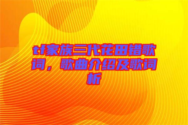 tf家族三代花田錯歌詞，歌曲介紹及歌詞析