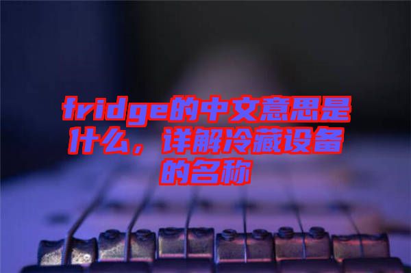 fridge的中文意思是什么，詳解冷藏設備的名稱