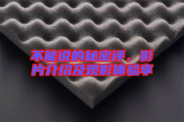 不能說的秘密評，影片介紹及觀影體驗享