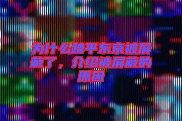 為什么踏平東京被屏蔽了，介紹被屏蔽的原因