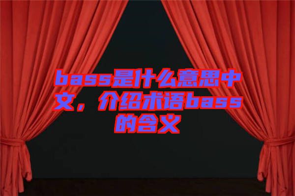 bass是什么意思中文，介紹術(shù)語(yǔ)bass的含義