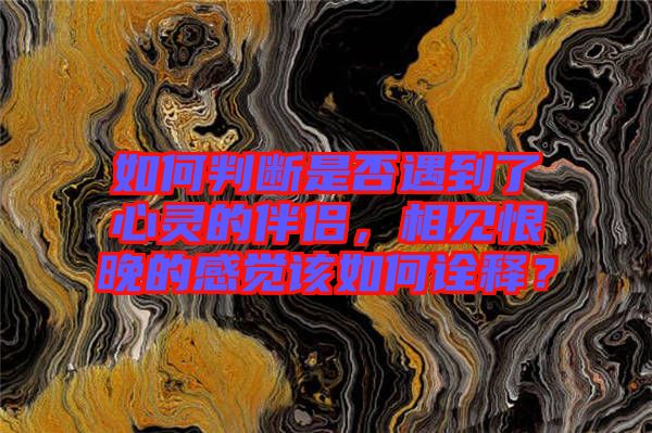 如何判斷是否遇到了心靈的伴侶，相見恨晚的感覺該如何詮釋？