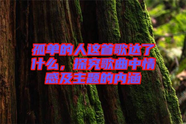 孤單的人這首歌達了什么，探究歌曲中情感及主題的內(nèi)涵