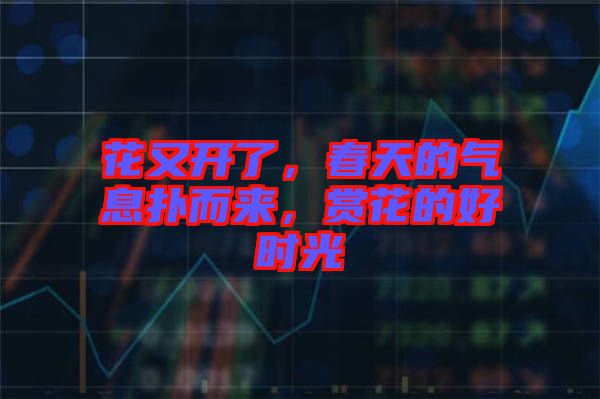 花又開(kāi)了，春天的氣息撲而來(lái)，賞花的好時(shí)光