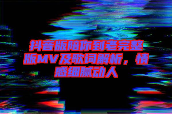 抖音版陪你到老完整版MV及歌詞解析，情感細膩動人