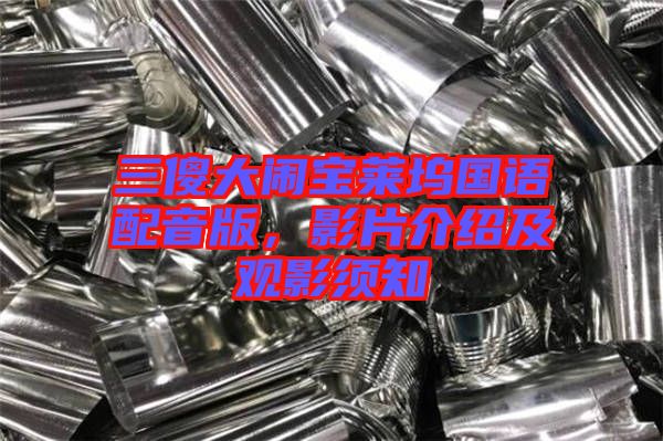 三傻大鬧寶萊塢國語配音版，影片介紹及觀影須知