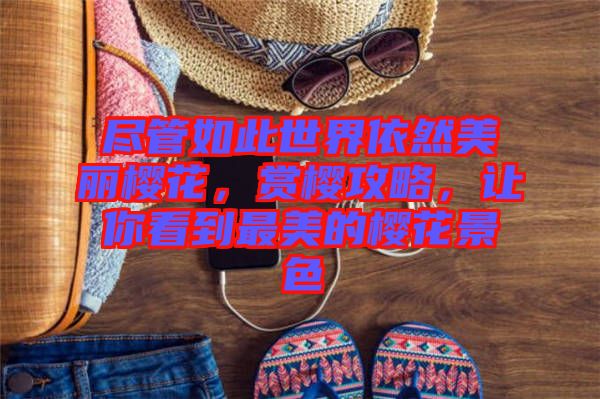盡管如此世界依然美麗櫻花，賞櫻攻略，讓你看到最美的櫻花景色