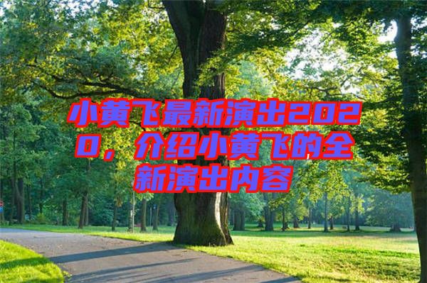 小黃飛最新演出2020，介紹小黃飛的全新演出內(nèi)容